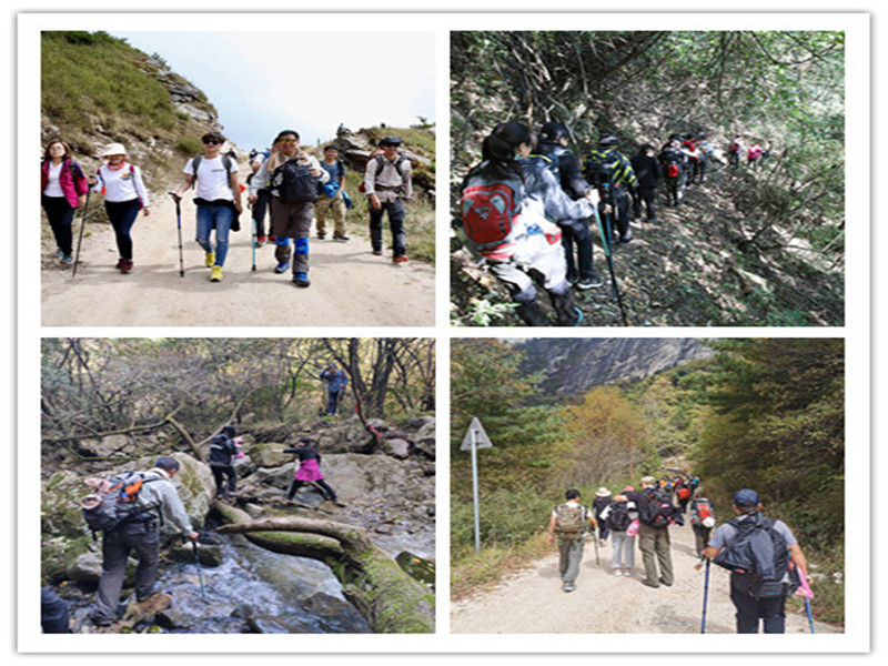 5d9c0919d1d42.jpg 第二天4_副本_副本_副本.jpg