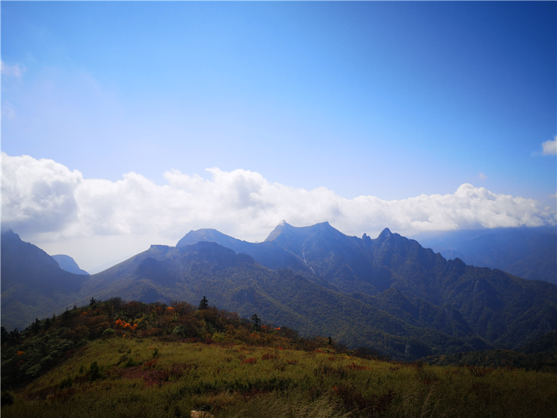 5d9d5477d2708.png 圖片1_副本1.png