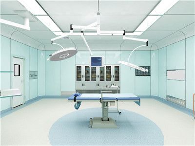 漢陰縣婦幼保健院住院樓手術(shù)室、產(chǎn)房凈化裝飾及設(shè)備采購項目