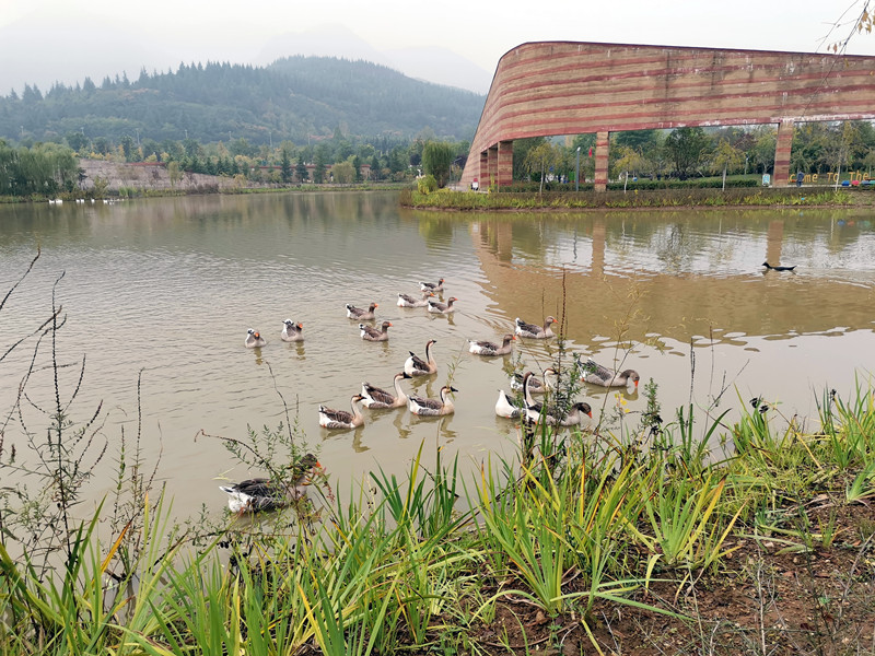 5f8170857af23.jpg IMG_20200926_085010_副本.jpg